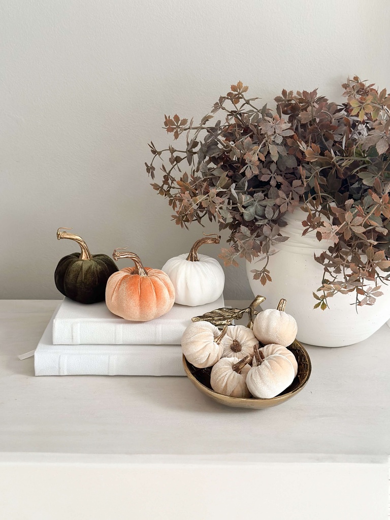 Velvet pumpkins tallo dorado (3 colores)