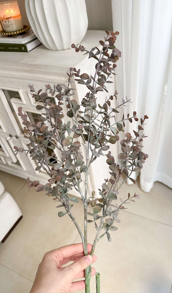 Eucalipto grande cenizo otoño