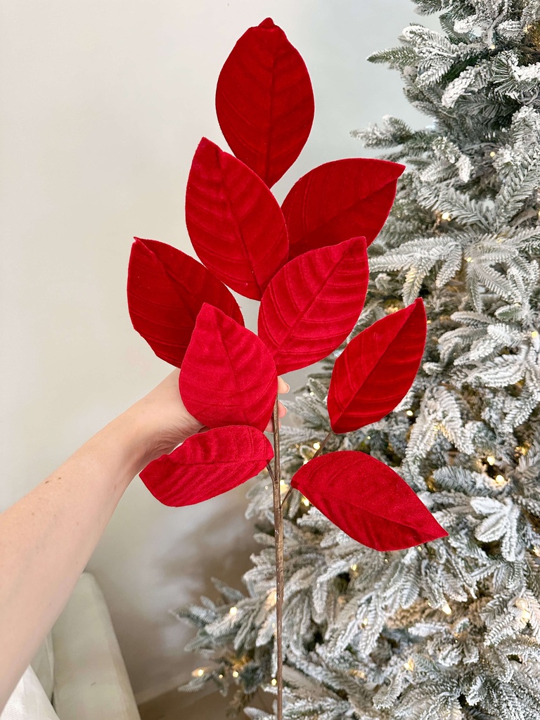 Rama Hoja de Magnolia Roja Velvet