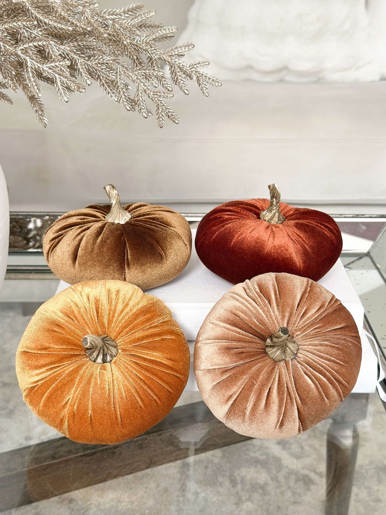 Pumpkins velvet (4 Colores)