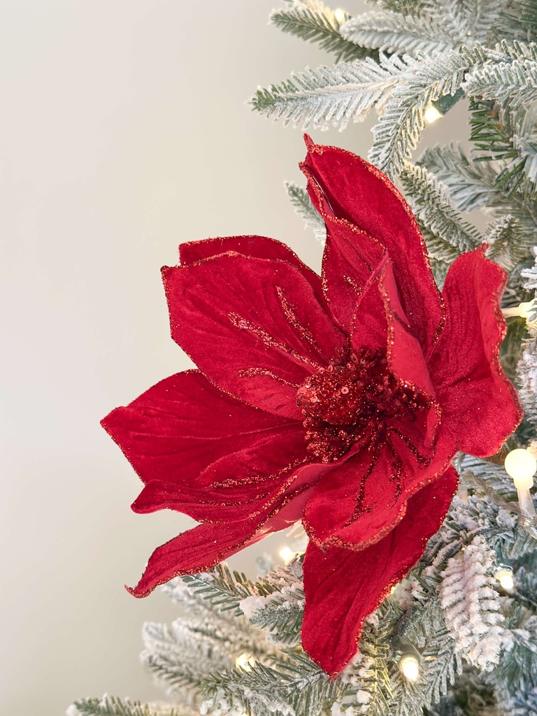 Magnolia roja velvet