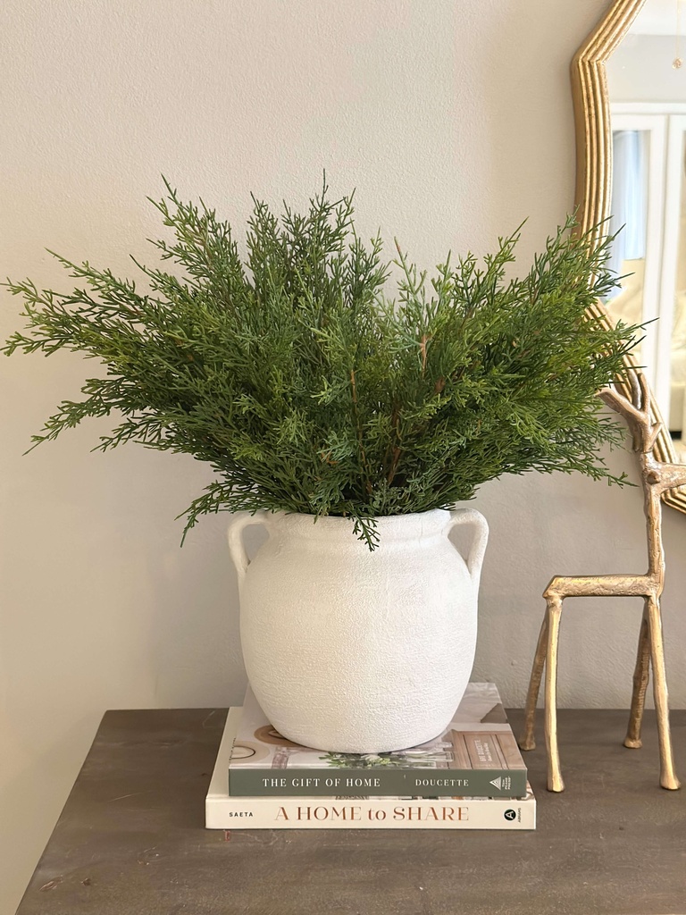 Rama de cedro (2 Estilos)