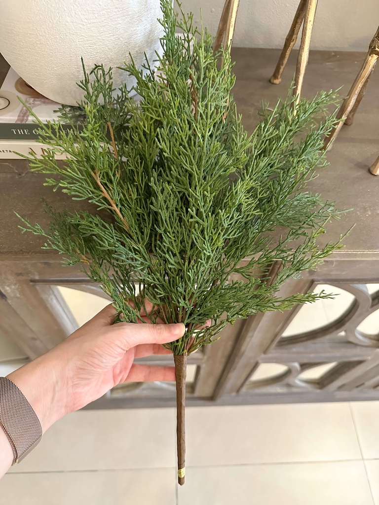 Rama de cedro (2 Estilos)