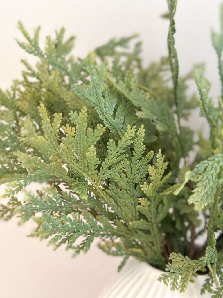 Rama de cedro (2 Estilos)