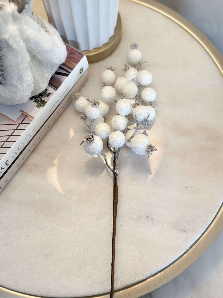 Rama de berries blancas nevadas pequeña