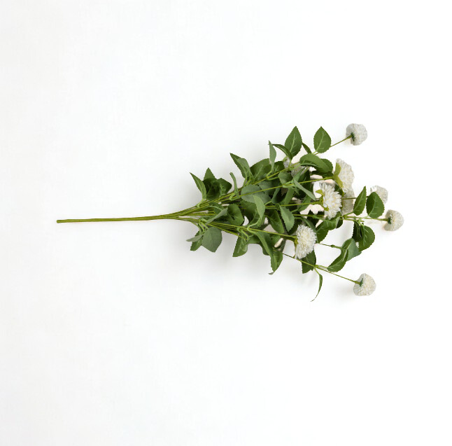 Rama de crisantemo (2 Colores)