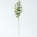 Rama de crisantemo (2 Colores)