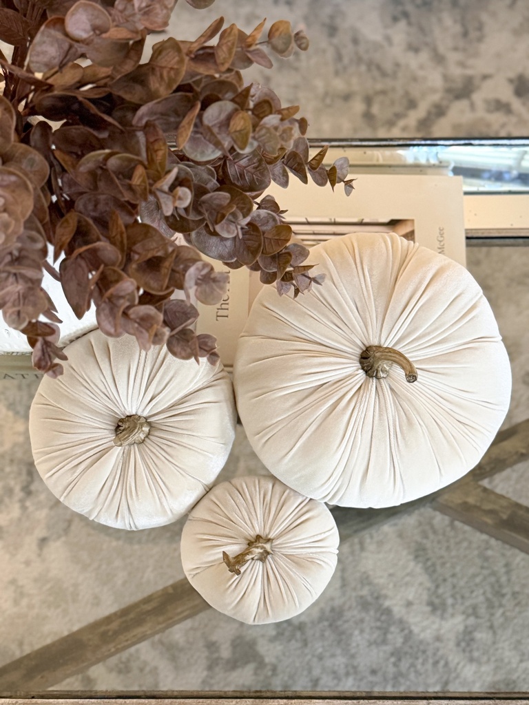 Ivory Velvet Pumpkins (3 tamaños)