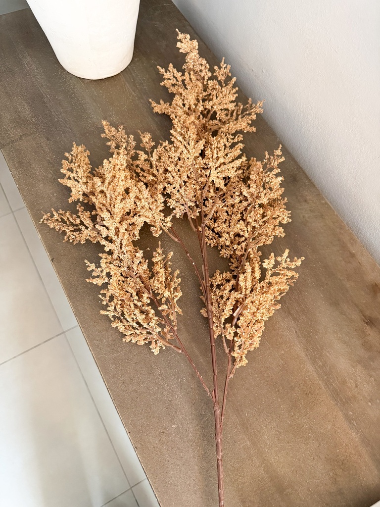 Rama de Caspia