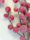 Rama de berrie roja escarchada (2 Tamaños)