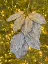 Rama Hoja de Magnolia Nevada