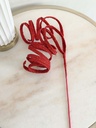 Rama curly roja escarchada