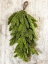 Lagrima de pino noble fir