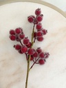 Rama de cranberries congelados burgundy