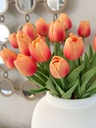 bunch de 7 tulipanes rojo y naranja