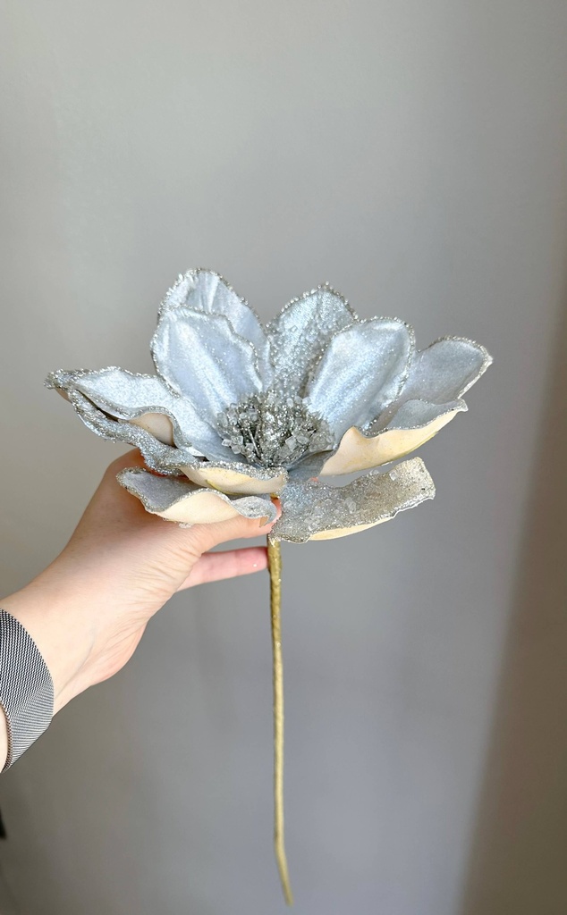 Magnolia plateada con Piedras