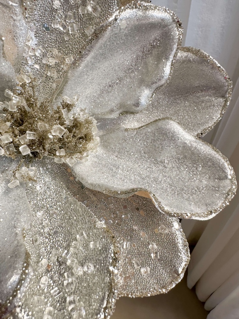 Magnolia plateada con Piedras