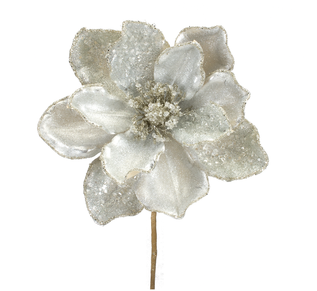 Magnolia plateada con Piedras