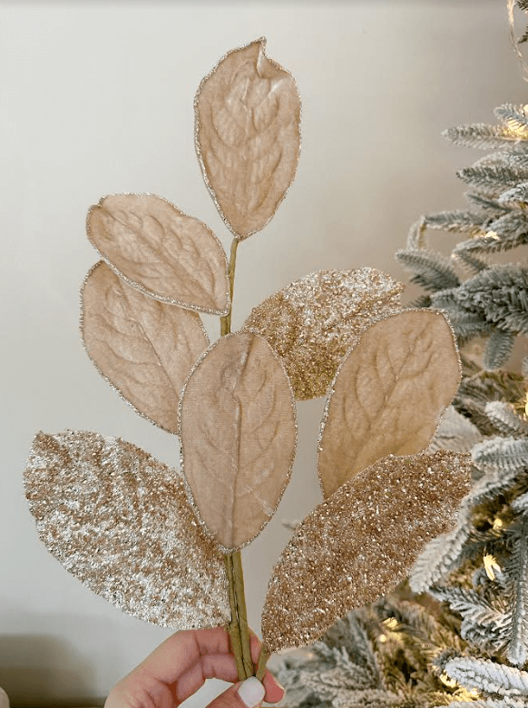 Rama hoja de magnolia velvet con escarcha