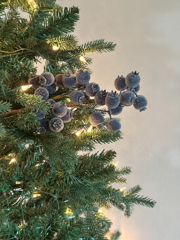 Rama de cranberry azul