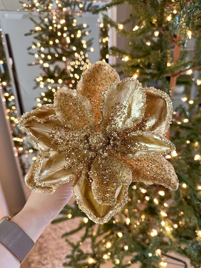 Magnolia dorada con piedras y escarcha