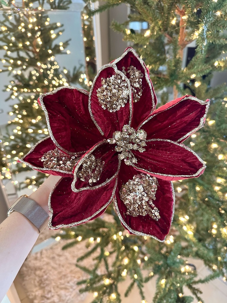 Magnolia velvet roja y champagne