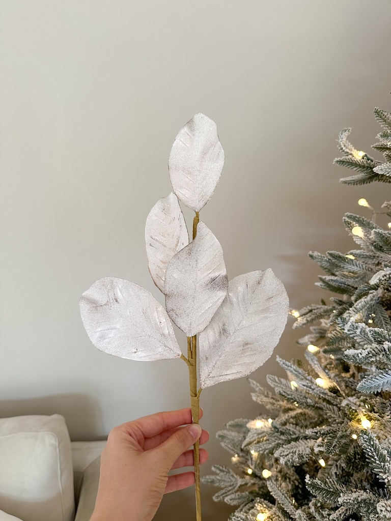 Rama hoja de magnolia nevada y champagne