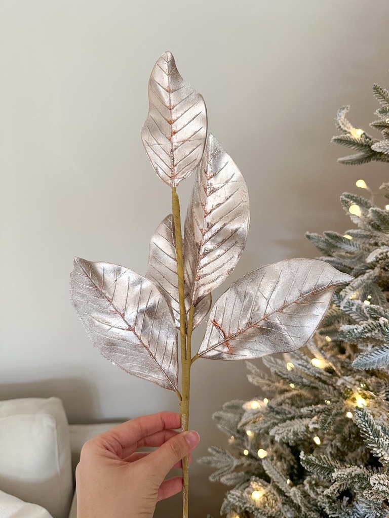 Rama hoja de magnolia nevada y champagne