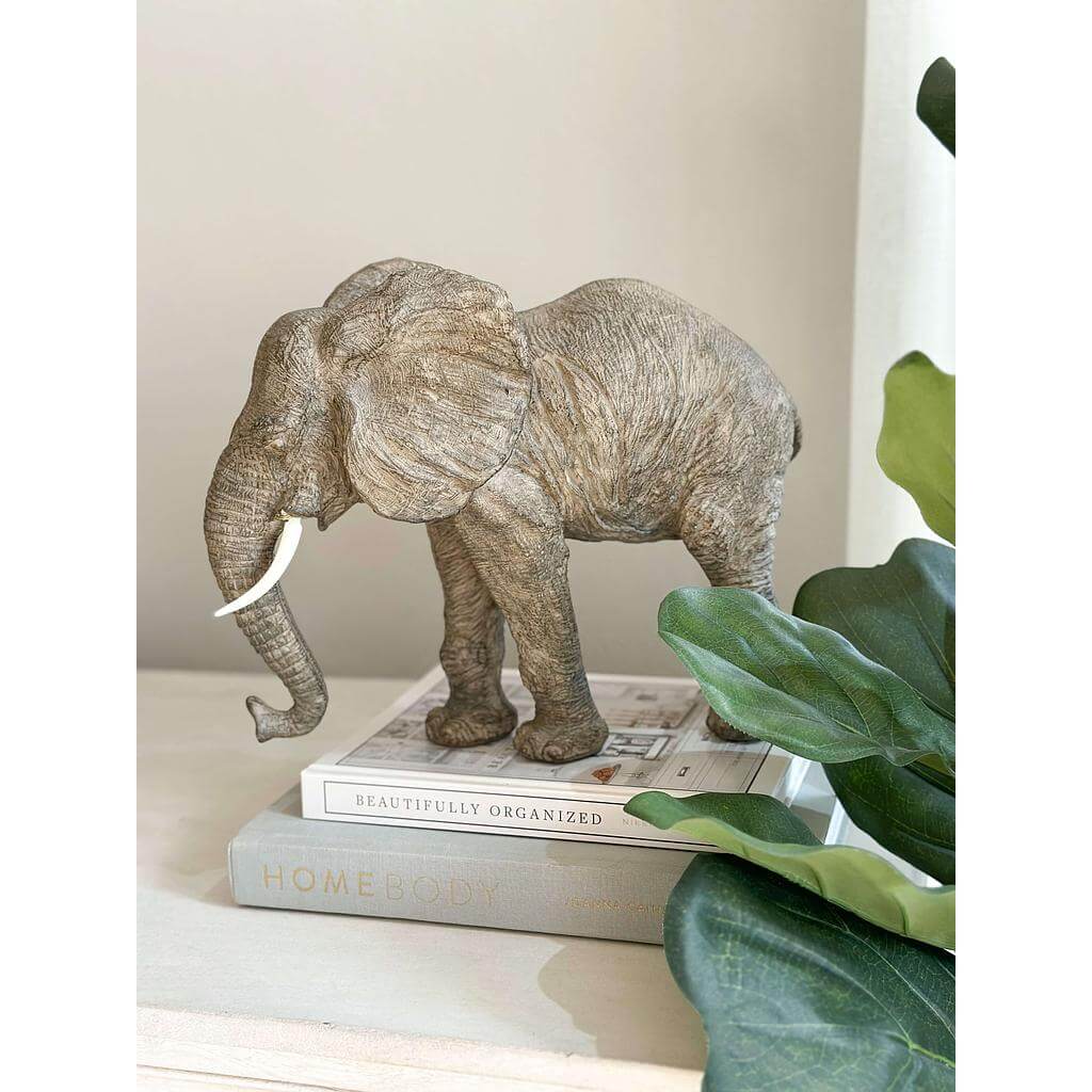 Elefante Dumbo