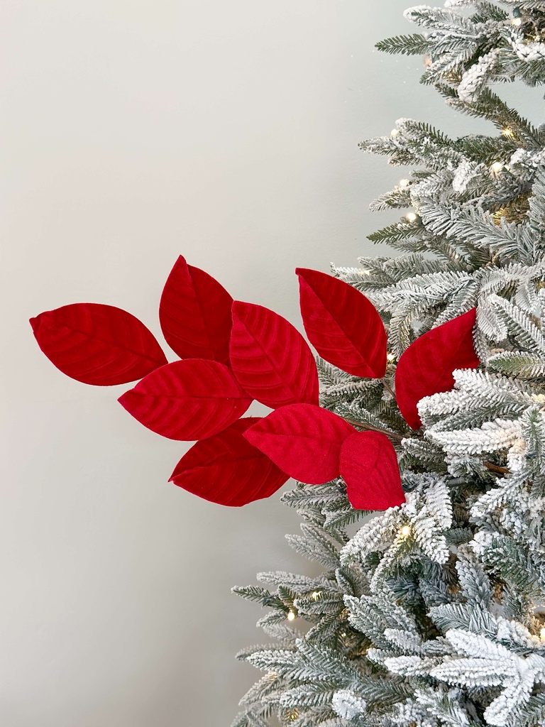 Rama Hoja de Magnolia Roja Velvet