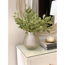 Rama de hojas pittosporum