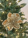 Magnolia dorada con piedras y escarcha