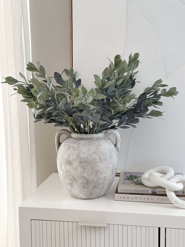 Rama de Eucalipto Cenizo