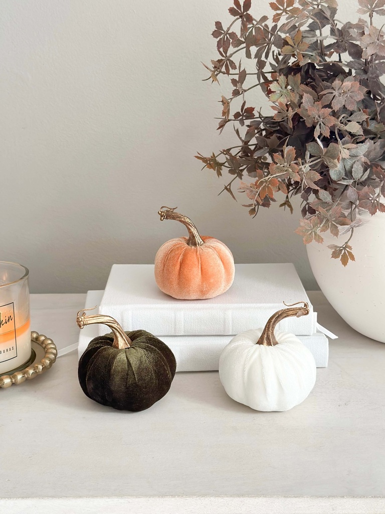 Velvet pumpkins tallo dorado (3 colores)