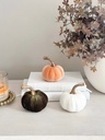 Velvet pumpkins tallo dorado (3 colores)
