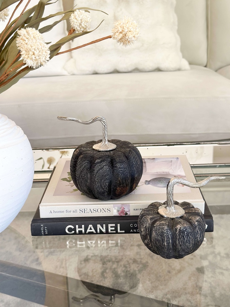 Pumpkin negra (2 Tamaños)