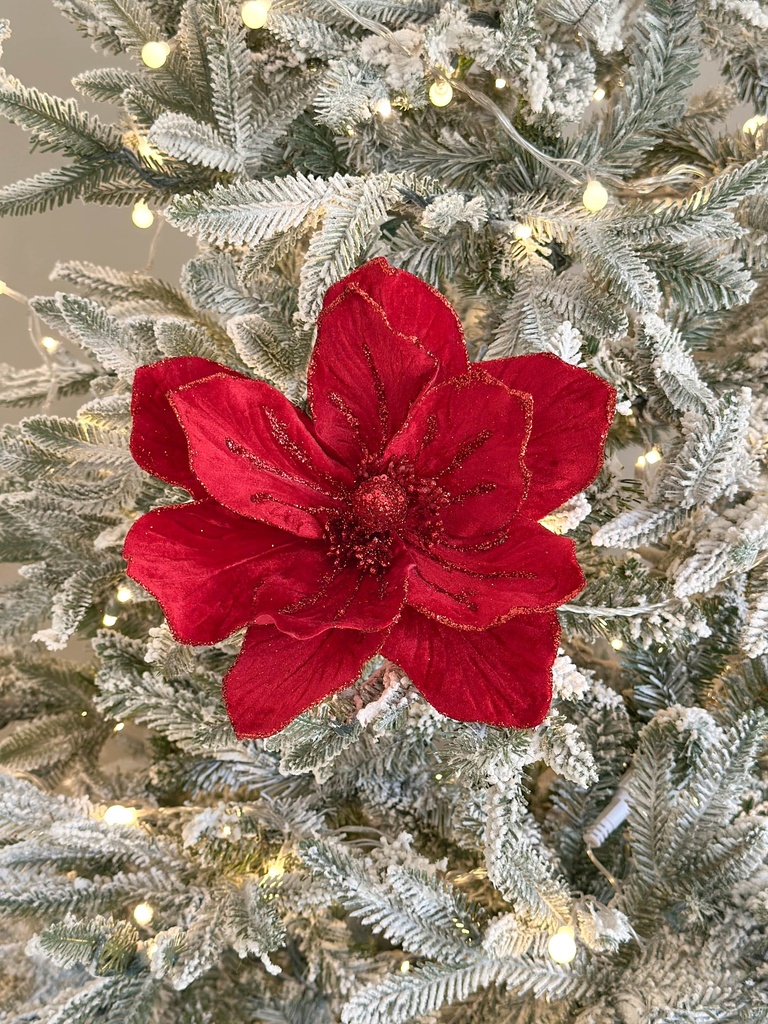 Magnolia roja velvet