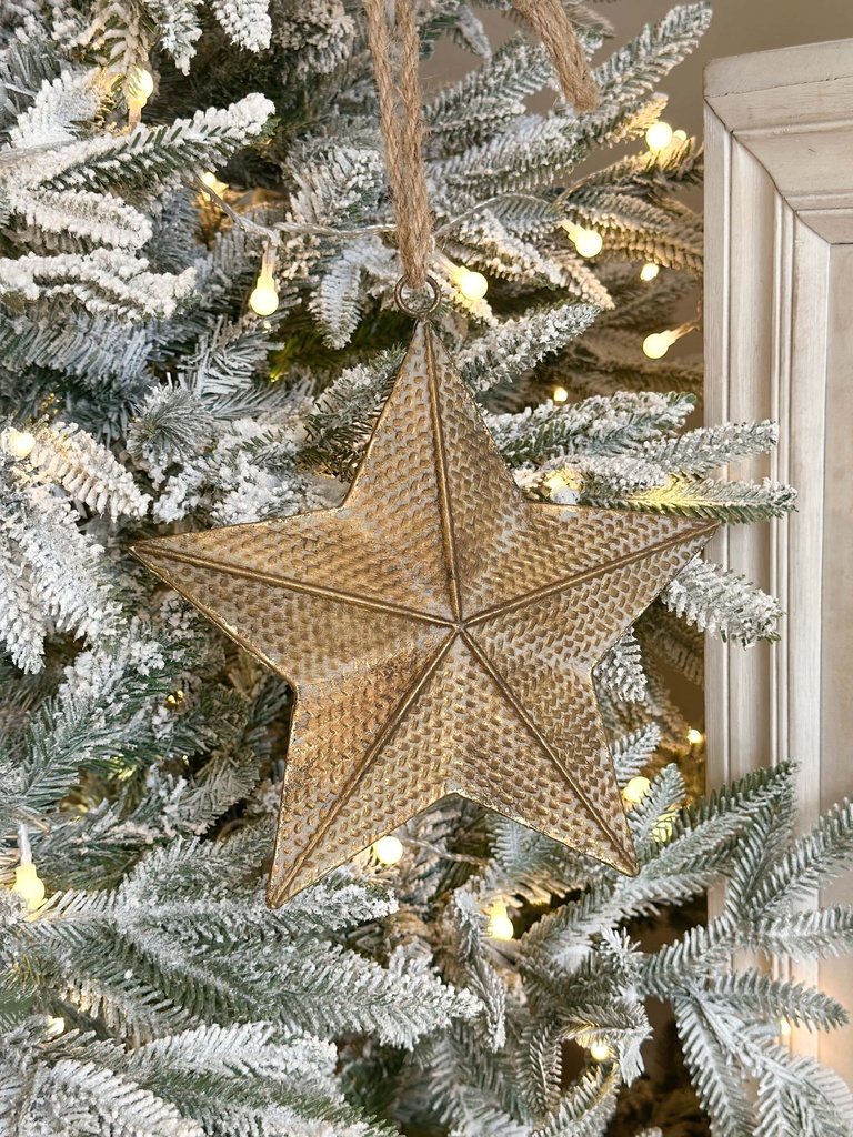 Estrella dorada de metal ornamento