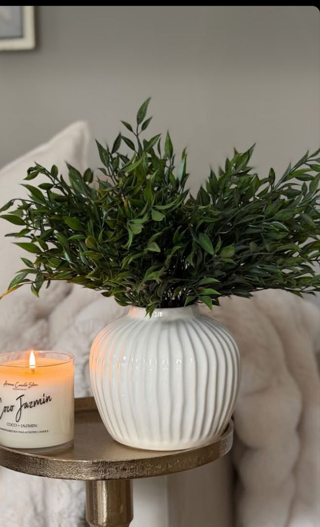 Rama ruscus bush