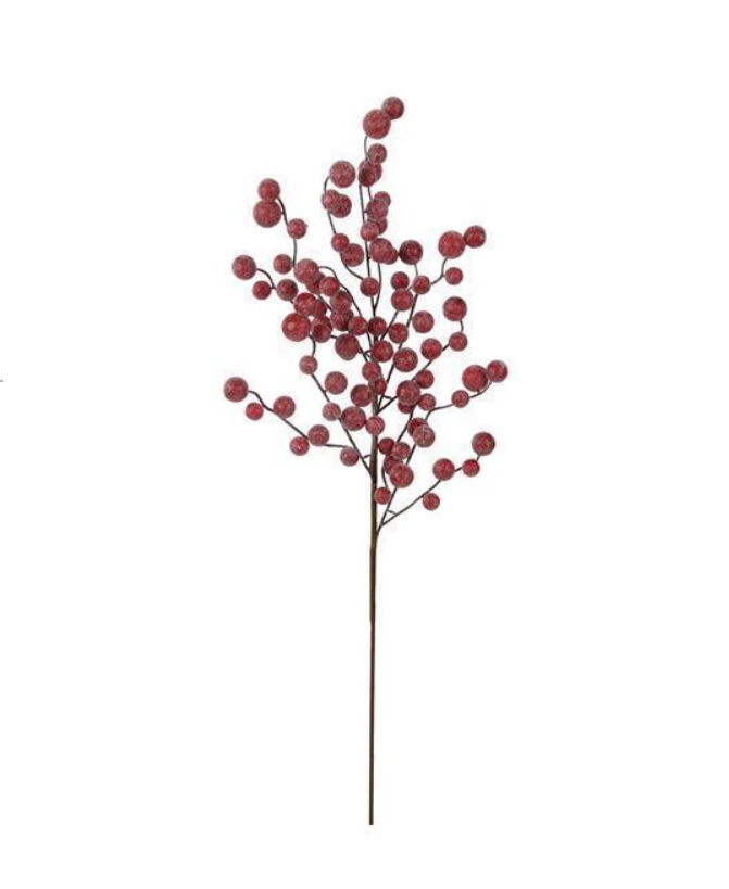 Rama de berrie roja escarchada