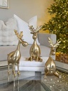 Alces dorados con lentes (3 Opciones)