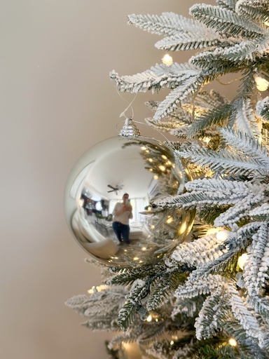 [54104B-SI] Esfera plateada brillante