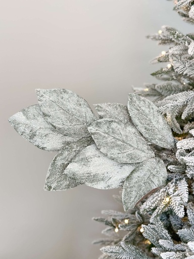 [84294] Rama Hoja de Magnolia Nevada