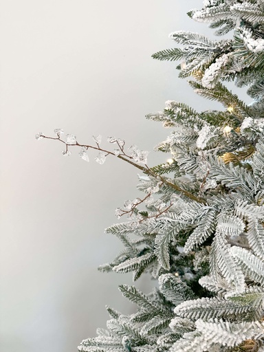 [86178] Rama de Hielo