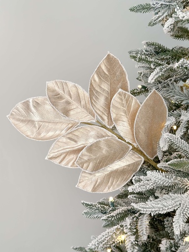 [F4206770] Rama hoja de magnolia orilla nevada