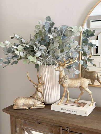 [XAS869-GR] Rama silver dollar nevado