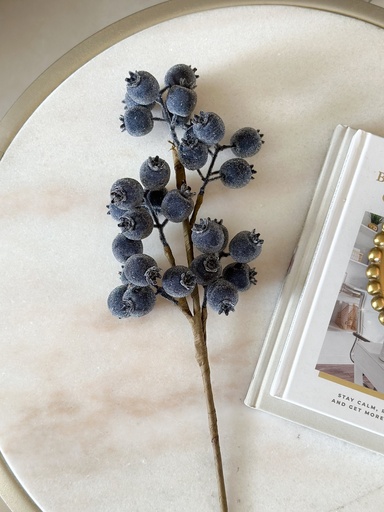 [95428] Rama de cranberry azul