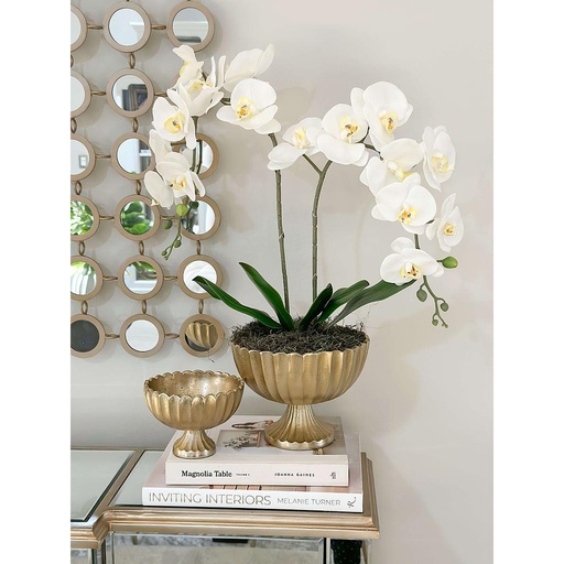 Copa dorada de metal (dos tamaños)