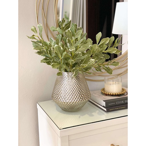 [13896A] Rama de hojas pittosporum