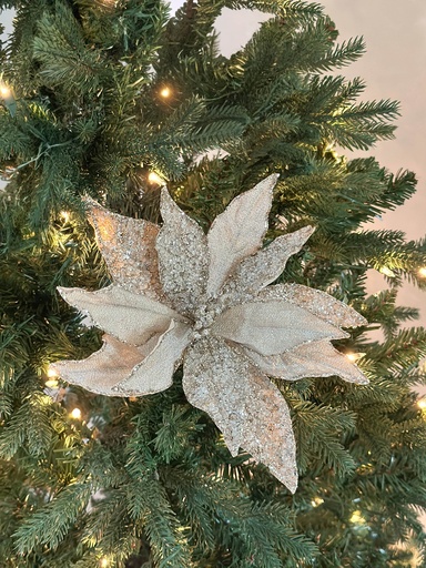 [C9596] Magnolia champagne con piedras